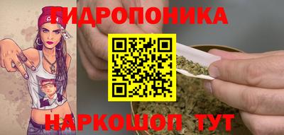 мдпв Новокубанск