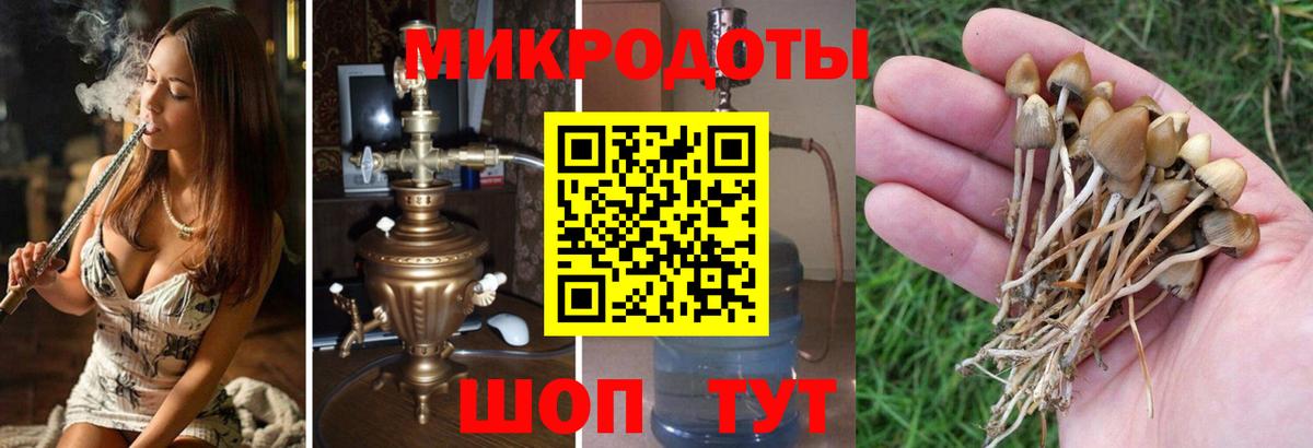 Псилоцибиновые грибы ЛСД  Вход с VPN  Ачинск 